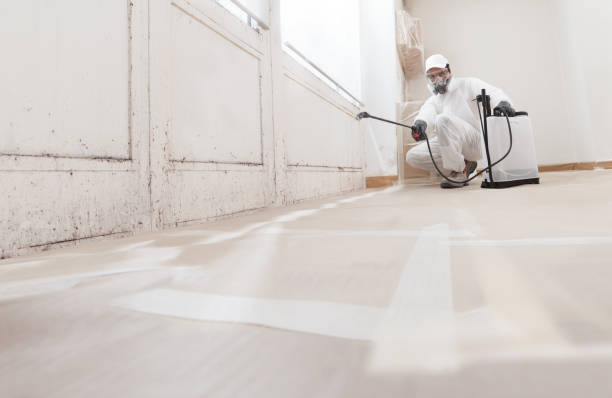 24/7 Emergency Mold Remediation experts in Mountlake Terrace, WA